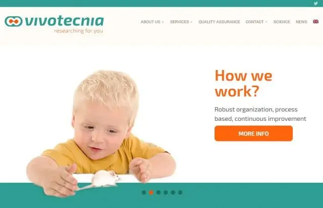imagen-de-marca-vivotecnia vivotecnia-web
