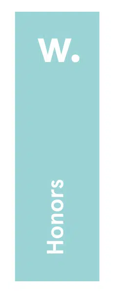 Premio Awwwards Estudio waka Mención Honorífica