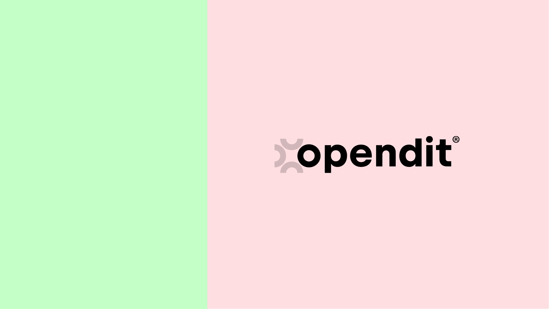 New corporate identity, Opendit