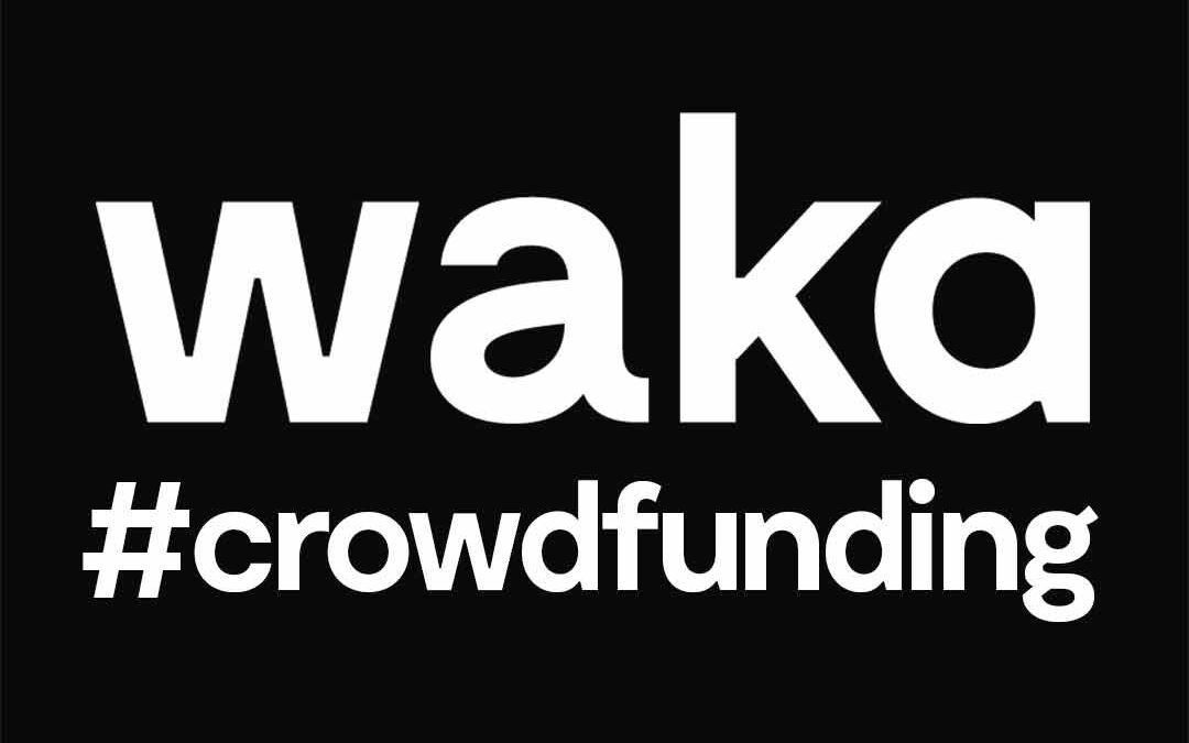 El crowdfunding como estrategia de marca