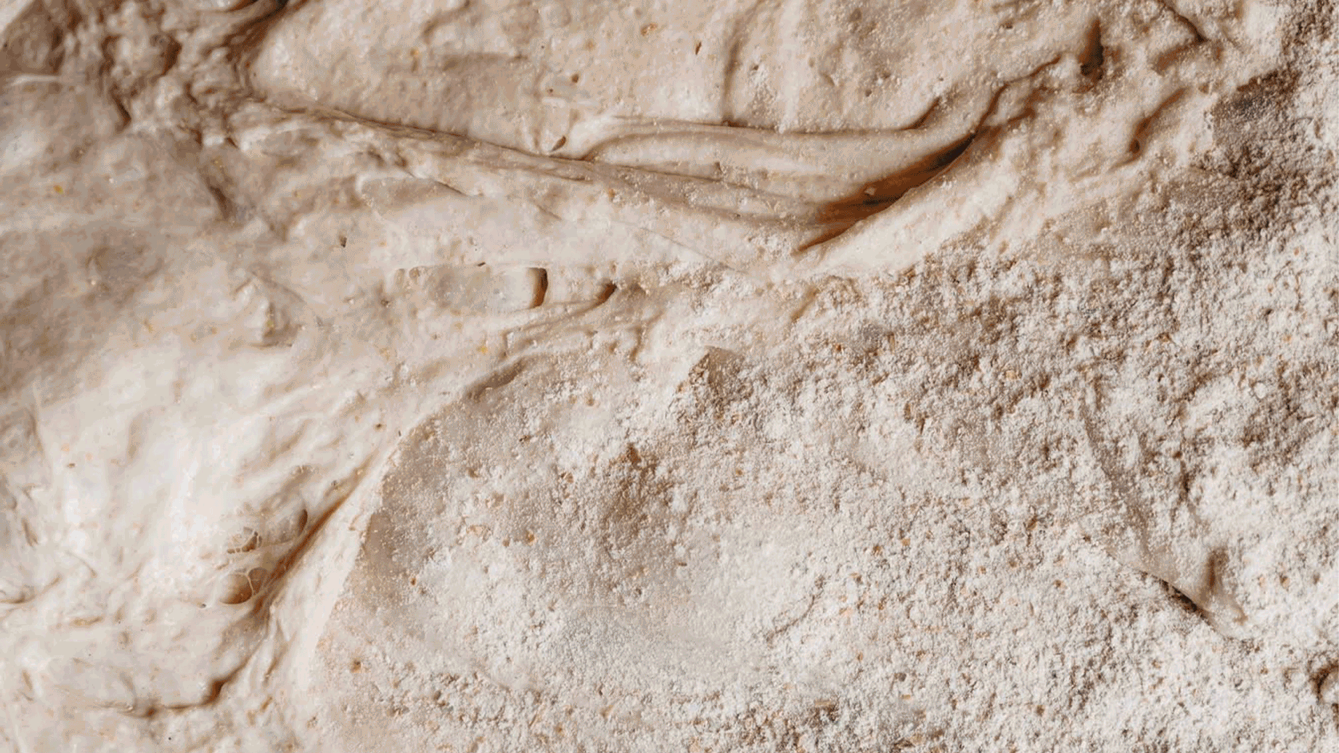 GIF-Producto (1) Productos Obrador Panadarío